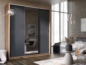 АЛЬЯНС Шкаф-купе 1,5 в Агрызе - agryz.ok-mebel.com | фото