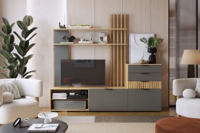 БЕРИ Стенка в Агрызе - agryz.ok-mebel.com | фото 9