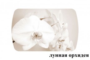 БОСТОН - 3 Стол раздвижной Лунная орхидея 1100/1420 опоры Триумф в Агрызе - agryz.ok-mebel.com | фото 2