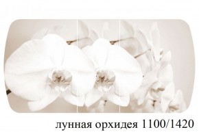 БОСТОН - 3 Стол раздвижной Лунная орхидея 1100/1420 опоры Триумф в Агрызе - agryz.ok-mebel.com | фото 3