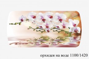 БОСТОН - 3 Стол раздвижной Орхидея на воде 1100/1420 опоры Триумф в Агрызе - agryz.ok-mebel.com | фото 3