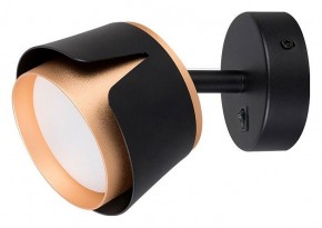 Бра Arte Lamp Amaks A8028AP-1BK в Агрызе - agryz.ok-mebel.com | фото