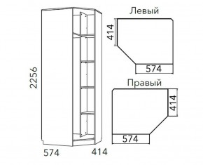 Детская Фанк Шкаф угловой Левый/Правый НМ 013.04-02 М в Агрызе - agryz.ok-mebel.com | фото 3