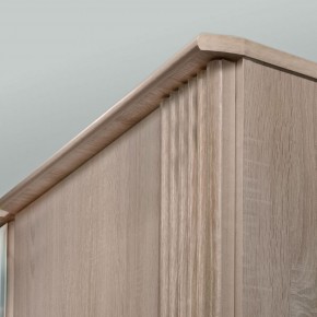 ДИАНА Д11А Шкаф для одежды в Агрызе - agryz.ok-mebel.com | фото 5