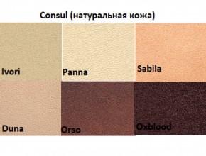 Диван двухместный Алекто Consul натуральная кожа в Агрызе - agryz.ok-mebel.com | фото 5