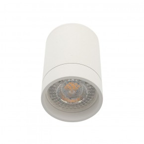 DK2050-WH Накладной светильник, IP 20, 15 Вт, GU5.3, белый, алюминий в Агрызе - agryz.ok-mebel.com | фото 3