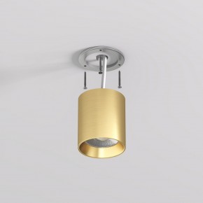 DK2610-SB Накладной светильник SHINE TUBE со светодиодом, D70*H80, IP20, 3000К, 10W, RA?90, сатинированная латунь, алюминий в Агрызе - agryz.ok-mebel.com | фото 3