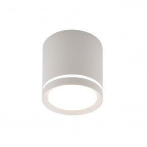 DK4013-WH Светильник накладной IP 20, 5 Вт, LED 4000, белый, алюминий/акрил в Агрызе - agryz.ok-mebel.com | фото