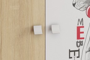 ЭНЕРДЖИ Шкаф 2-створчатый в Агрызе - agryz.ok-mebel.com | фото 4