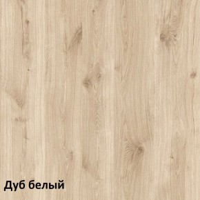 Эйп Шкаф для одежды 13.334 в Агрызе - agryz.ok-mebel.com | фото 5