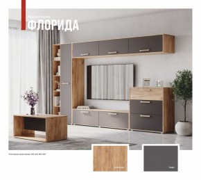 ФЛОРИДА Гостиная (модульная) дуб золотой/графит в Агрызе - agryz.ok-mebel.com | фото