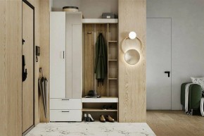 Гарнитур для прихожей Торонто в Агрызе - agryz.ok-mebel.com | фото 5
