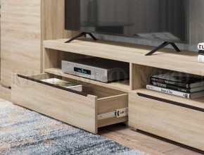 ЭКОЛЬ Гостиная Вариант №3 МДФ (Дуб сонома) в Агрызе - agryz.ok-mebel.com | фото 2