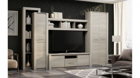 ЭЛИС Гостиная в Агрызе - agryz.ok-mebel.com | фото 2