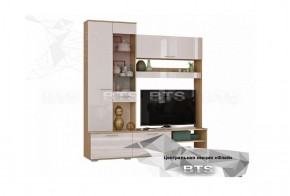 Гостиная Флай (ЦС-01/ШК-04) дуб сонома/белый в Агрызе - agryz.ok-mebel.com | фото 4