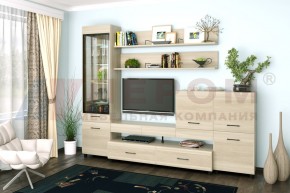 Гостиная Камелия Композиция 5 (Ясень Асахи) в Агрызе - agryz.ok-mebel.com | фото 1