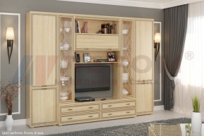 Гостиная Карина Композиция 19 (Ясень Асахи) в Агрызе - agryz.ok-mebel.com | фото