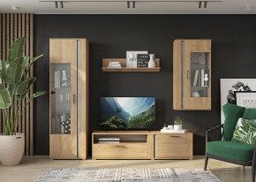 Гостиная Омега (Крафт золотой-Бетон) в Агрызе - agryz.ok-mebel.com | фото