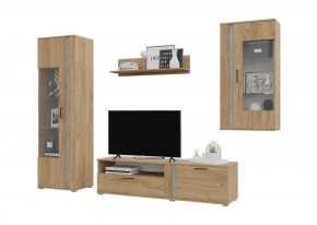 Гостиная Омега (Крафт золотой-Бетон) в Агрызе - agryz.ok-mebel.com | фото 2