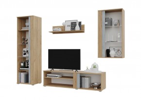 Гостиная Омега (Крафт золотой-Бетон) в Агрызе - agryz.ok-mebel.com | фото 3