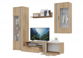 Гостиная Омега (Крафт золотой-Бетон) в Агрызе - agryz.ok-mebel.com | фото 4