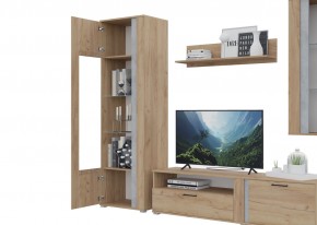 Гостиная Омега (Крафт золотой-Бетон) в Агрызе - agryz.ok-mebel.com | фото 5