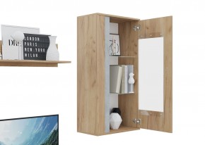 Гостиная Омега (Крафт золотой-Бетон) в Агрызе - agryz.ok-mebel.com | фото 6