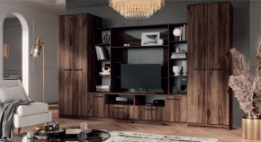ПРЕМЬЕР Гостиная (Дуб Самдал) в Агрызе - agryz.ok-mebel.com | фото
