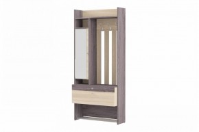 ГРЕТТА Прихожая (дуб сонома/ясень черный) в Агрызе - agryz.ok-mebel.com | фото 3