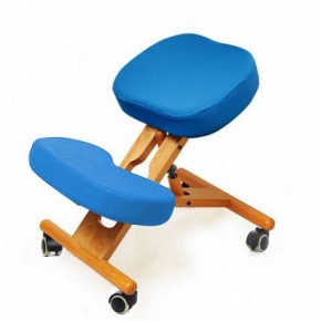 Коленный стул Smartstool KW02 + Чехлы в Агрызе - agryz.ok-mebel.com | фото 1
