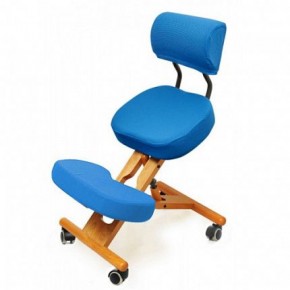 Коленный стул со спинкой Smartstool KW02В + Чехлы в Агрызе - agryz.ok-mebel.com | фото 2