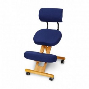 Коленный стул со спинкой Smartstool KW02В + Чехлы в Агрызе - agryz.ok-mebel.com | фото 3