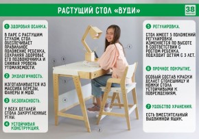 Комплект растущий стол и стул с чехлом 38 попугаев «Вуди» (Белый, Белый, Клетка) в Агрызе - agryz.ok-mebel.com | фото