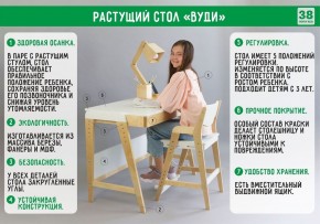 Комплект растущий стол и стул с чехлом 38 попугаев «Вуди» (Серый, Береза, Салют) в Агрызе - agryz.ok-mebel.com | фото