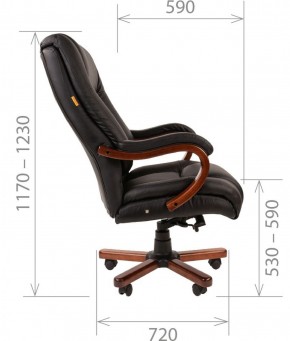Кресло для руководителя CHAIRMAN  503 (Кожа) Черное в Агрызе - agryz.ok-mebel.com | фото 5
