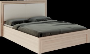 Кровать 1.6 Глэдис М32 с ПМ и мягкой частью (ЯШС/Белый) в Агрызе - agryz.ok-mebel.com | фото 1
