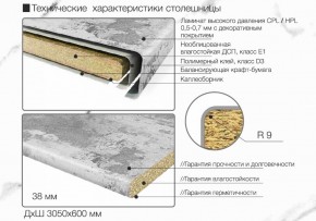 Кухонный фартук со столешницей (А-01) в едином стиле (3050 мм) в Агрызе - agryz.ok-mebel.com | фото 6