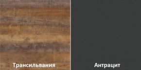 Кухонный гарнитур угловой Трансильвания 2400x1600 мм (Стол. 38 мм) Антрацит/Трансильвания в Агрызе - agryz.ok-mebel.com | фото 3