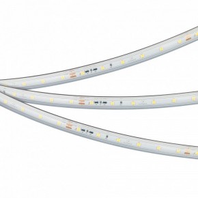 Лента светодиодная Arlight IC-PS-A60-10mm 24V 050656 в Агрызе - agryz.ok-mebel.com | фото