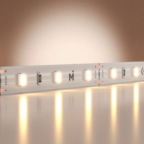 Лента светодиодная Maytoni Base 201162 в Агрызе - agryz.ok-mebel.com | фото