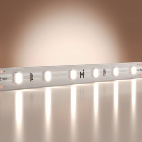 Лента светодиодная Maytoni Base 201167 в Агрызе - agryz.ok-mebel.com | фото