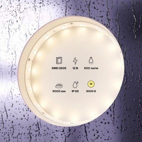 Лента светодиодная Maytoni Led strip 10105 в Агрызе - agryz.ok-mebel.com | фото 2