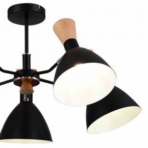 Люстра на штанге EVOLUCE VISTA SLE1256-402-05 в Агрызе - agryz.ok-mebel.com | фото 10