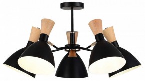 Люстра на штанге EVOLUCE VISTA SLE1256-402-05 в Агрызе - agryz.ok-mebel.com | фото 2