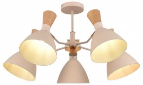 Люстра на штанге EVOLUCE VISTA SLE1256-502-05 в Агрызе - agryz.ok-mebel.com | фото 6