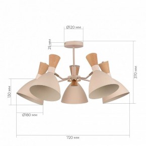 Люстра на штанге EVOLUCE VISTA SLE1256-502-05 в Агрызе - agryz.ok-mebel.com | фото 8