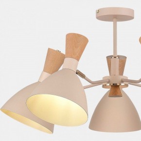 Люстра на штанге EVOLUCE VISTA SLE1256-502-05 в Агрызе - agryz.ok-mebel.com | фото 9