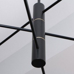 Люстра на штанге Favourite Imma 4375-6P в Агрызе - agryz.ok-mebel.com | фото 2