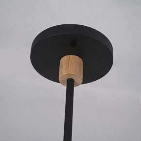 Люстра на штанге Imperiumloft TURNA Black TURNA-DBL01 в Агрызе - agryz.ok-mebel.com | фото 9