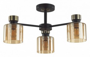 Люстра на штанге Lumion ARLIN 5643/3C в Агрызе - agryz.ok-mebel.com | фото
